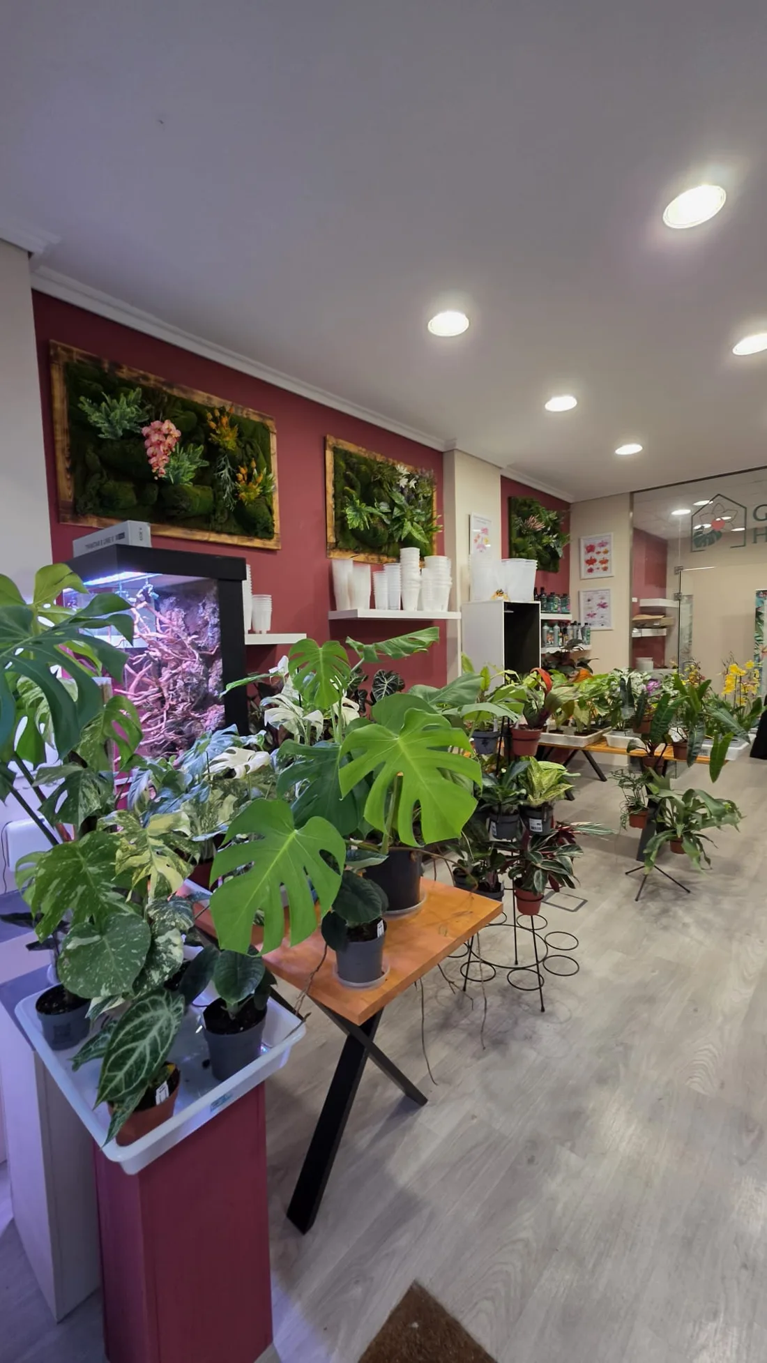 Interior de la tienda de The Green Corner en Alcorcón